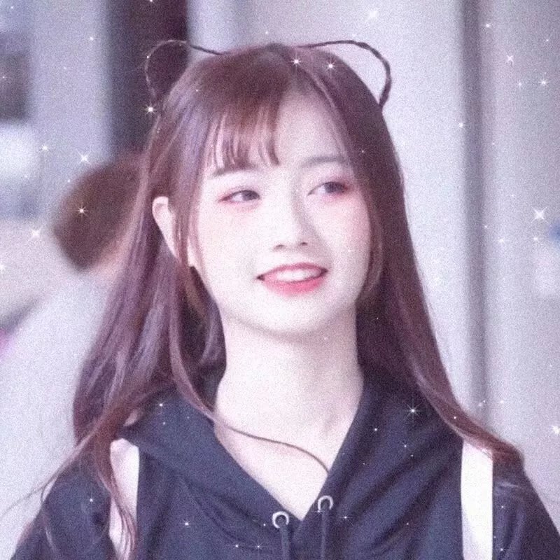 土狼之旅