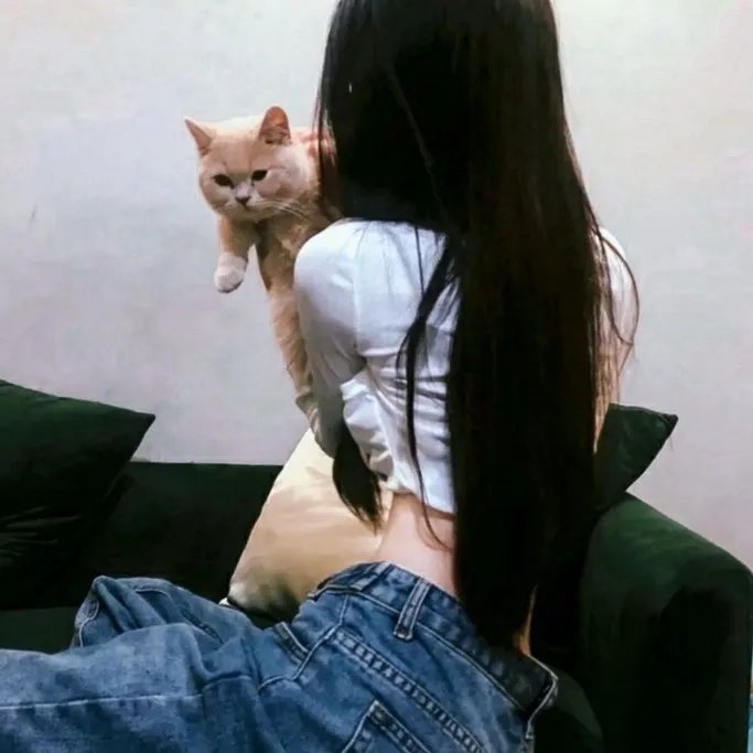 王子之剑
